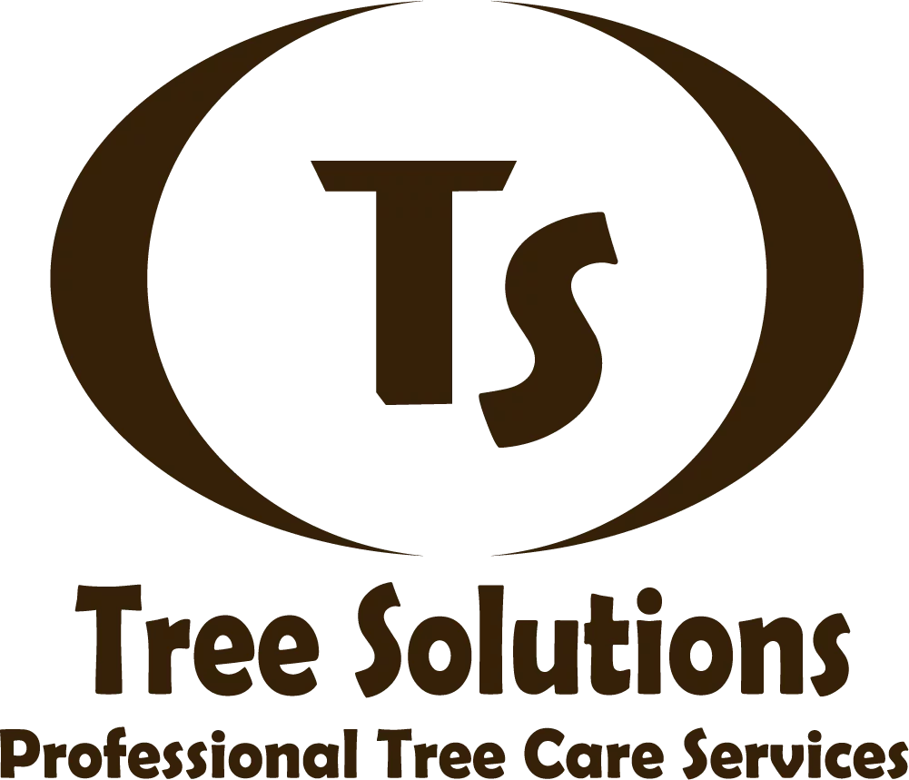TreeSolutions