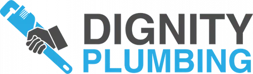 dignity plumbing logo p 500